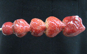 food and design expeditions Nina Rosens en Marielle Bordewijk